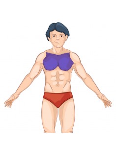 Depilação a Laser Peito