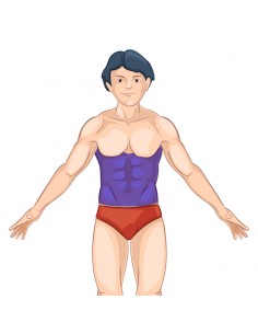 Depilação a Laser Abdómen