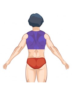 Depilação a Laser Costas