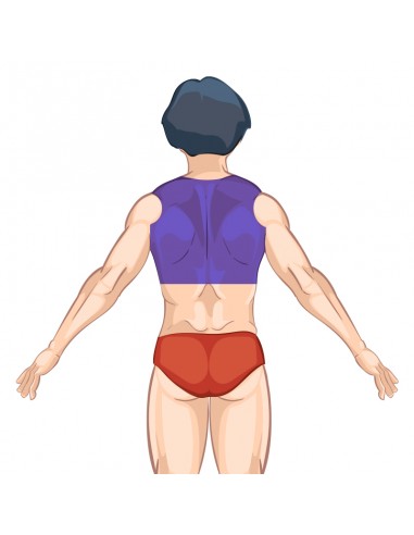 Pack Essencial Depilação a Laser - Homem