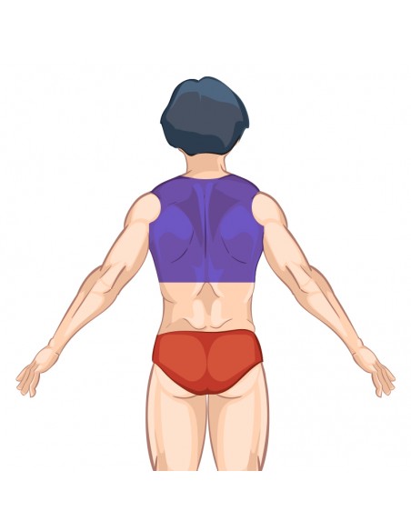 Pack Essencial Depilação a Laser - Homem