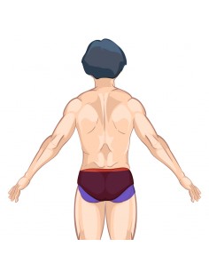 Depilação a laser pernas virilhas gluteo 2